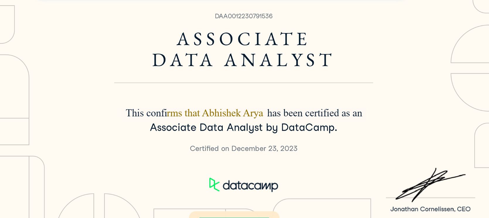 Abhishek Arya The Analyst Portfolio